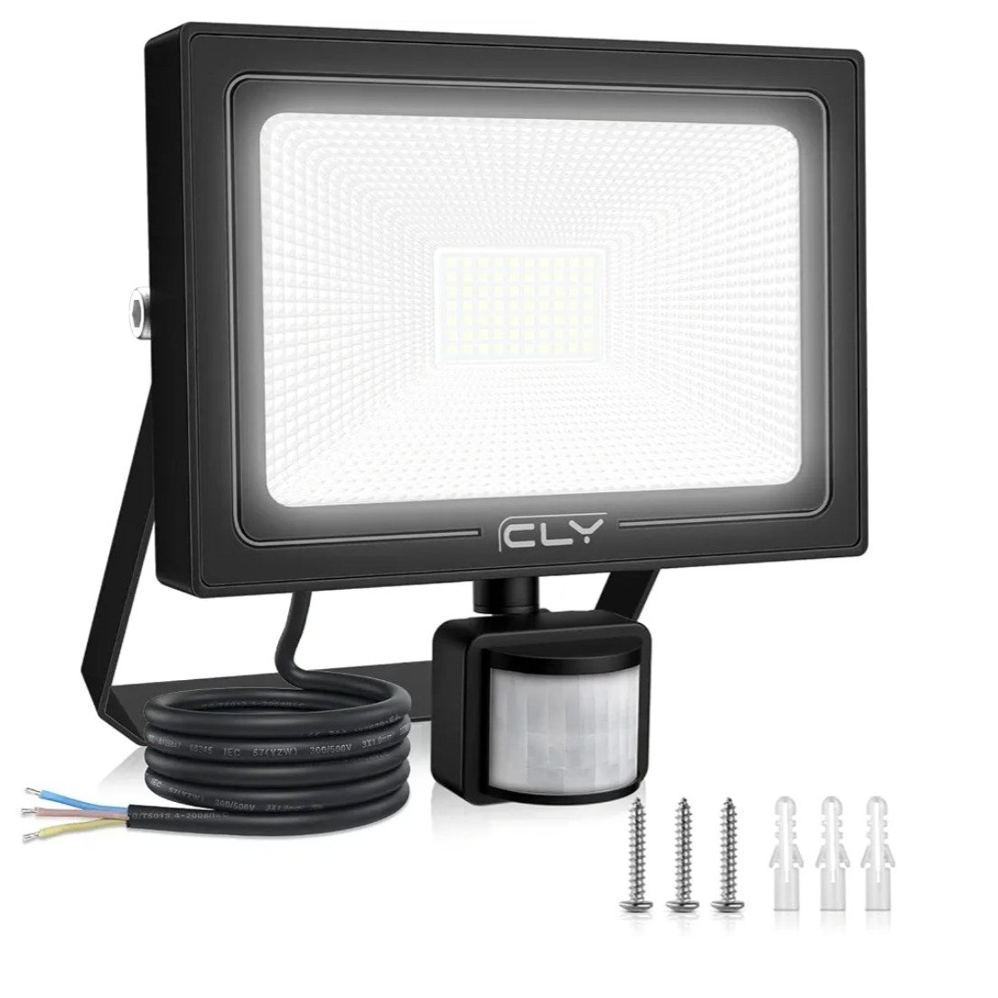 CLY 10W LED Flood Light with Motion Sensor